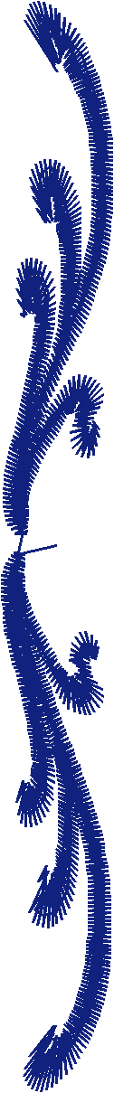 Borders 21 (78)