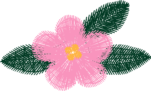 Borders 23 (21)
