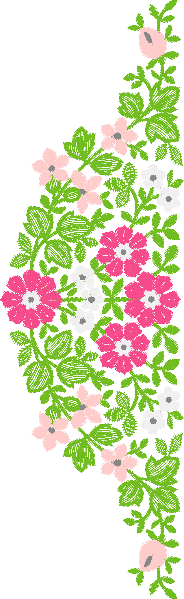 Borders 25 (1)