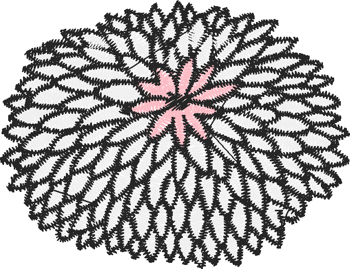 Borders 25 (19)