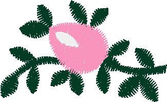 Borders 25 (3)