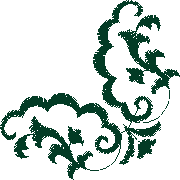 Borders 25 (79)
