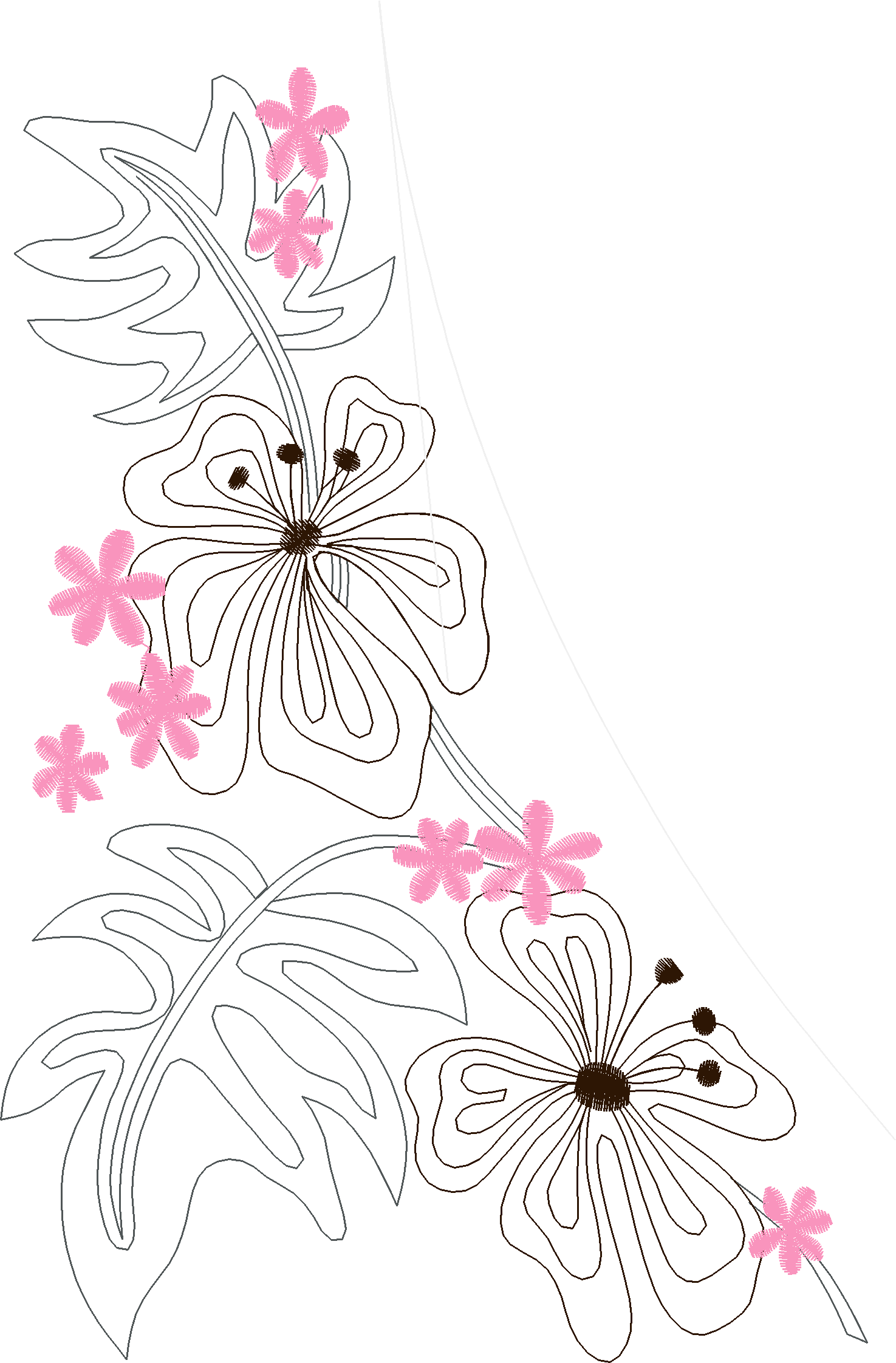 Borders 26 (16)
