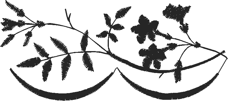 Borders 8 (5)