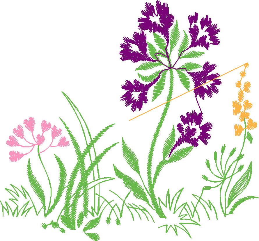 Bottom Edge Borders