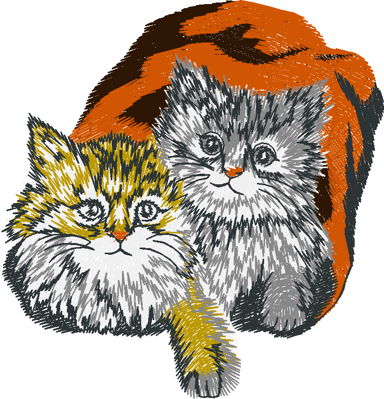 Chat016