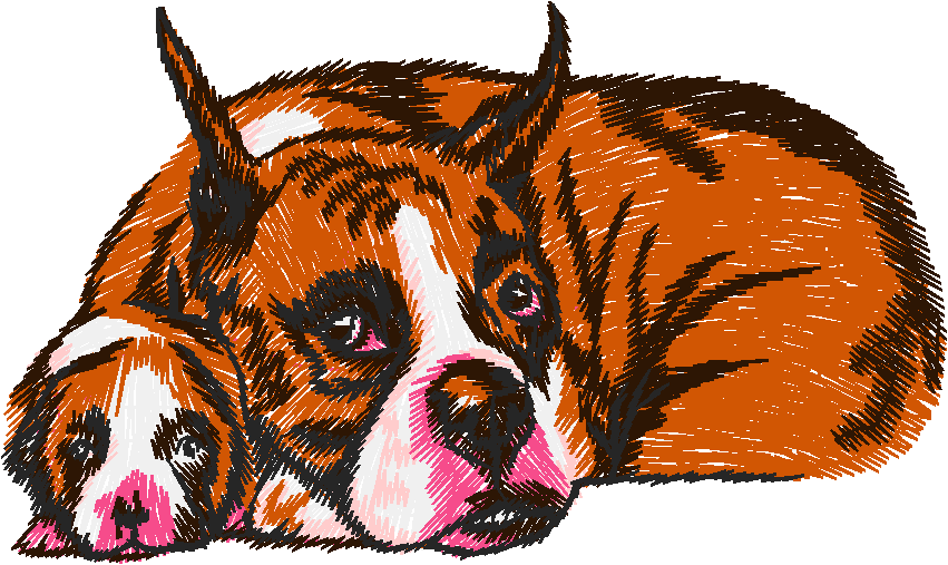 Chien006