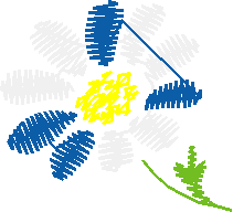 21 07