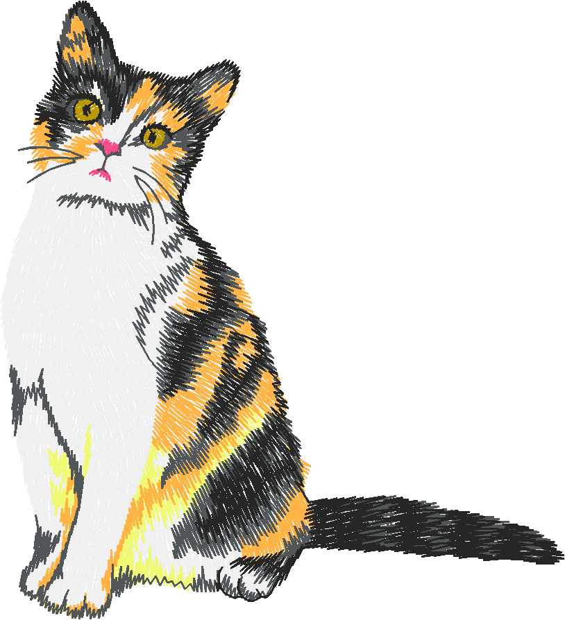 Chat20