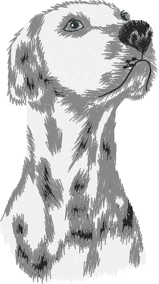 Chien01