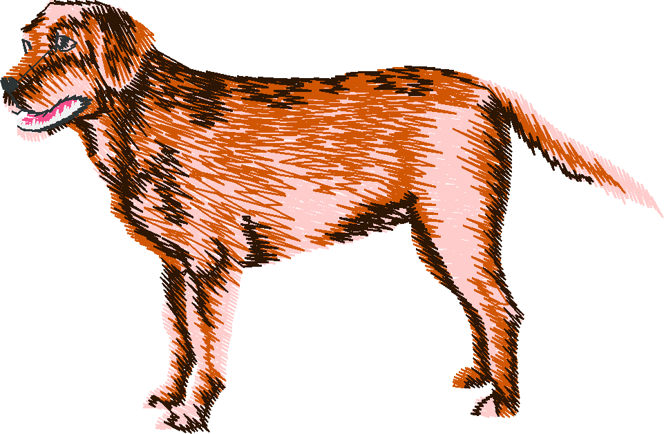 Chien05