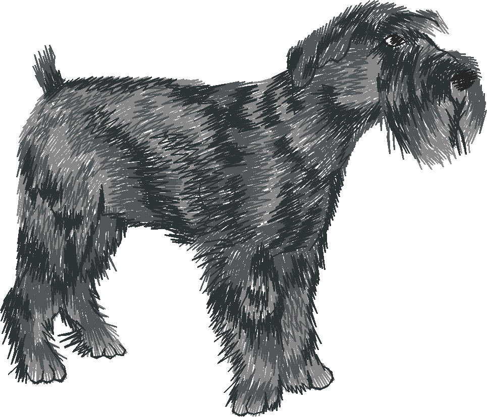 Chien08