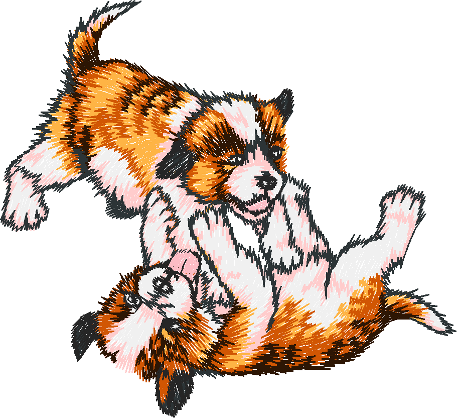 Chien11