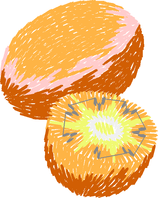 Fruit Et Legume013