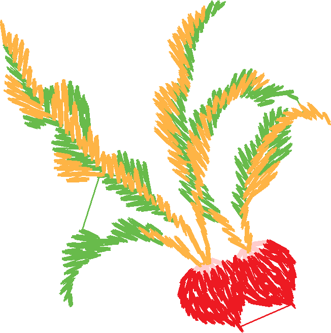 Fruit Et Legume017