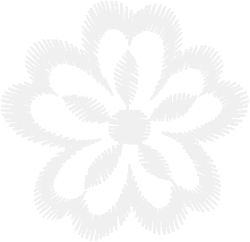 44026
