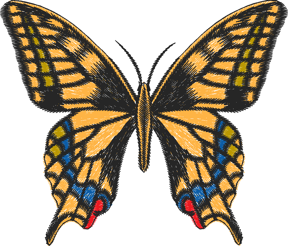 Papillon Nø47002