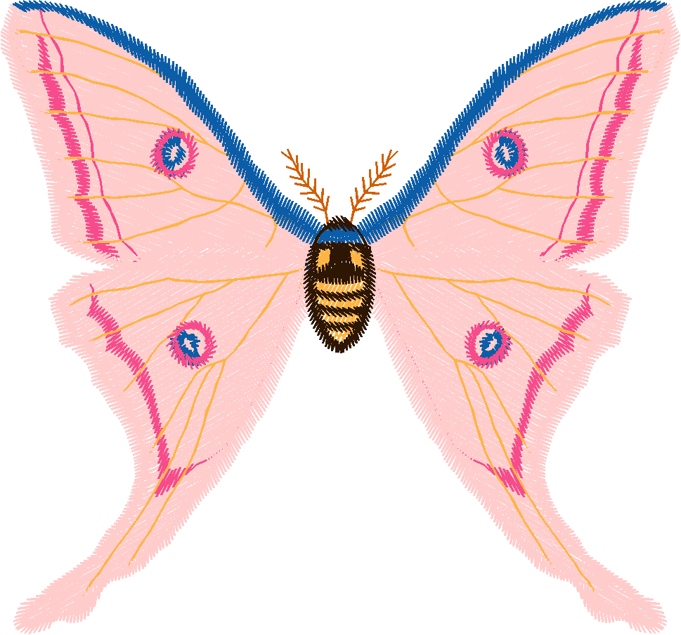 Papillon Nø47003