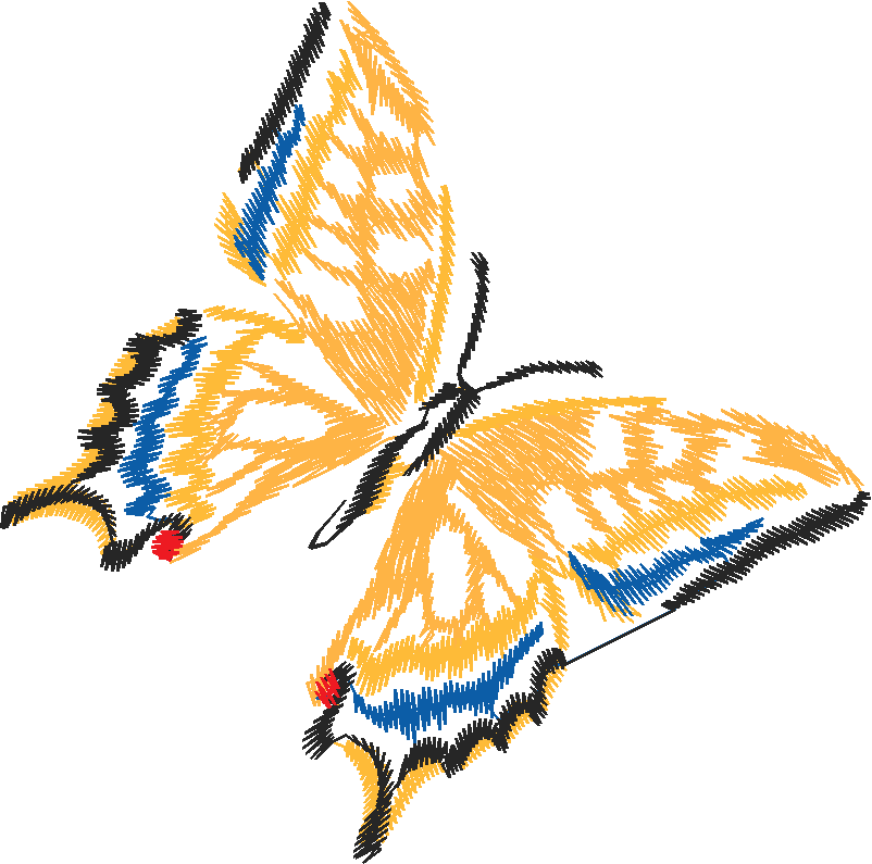Papillon Nø47005