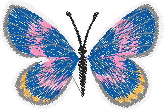 Papillon Nø47008