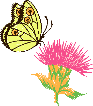 Papillon Nø47015
