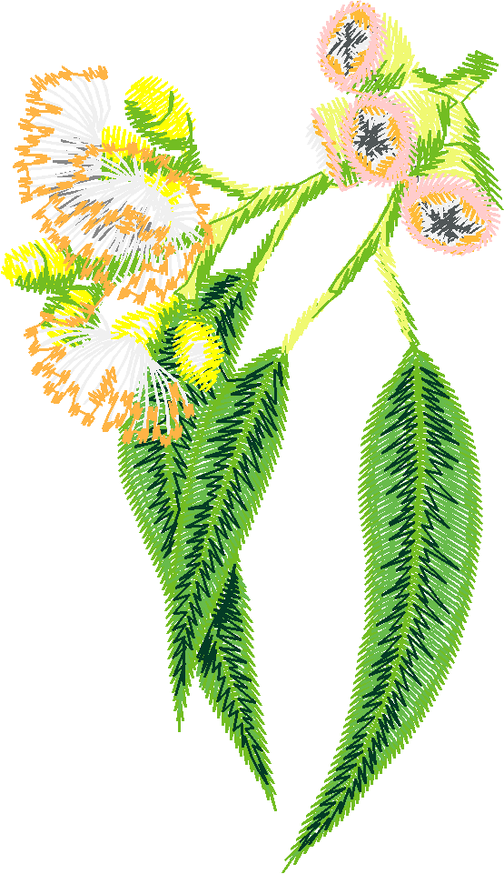 48010