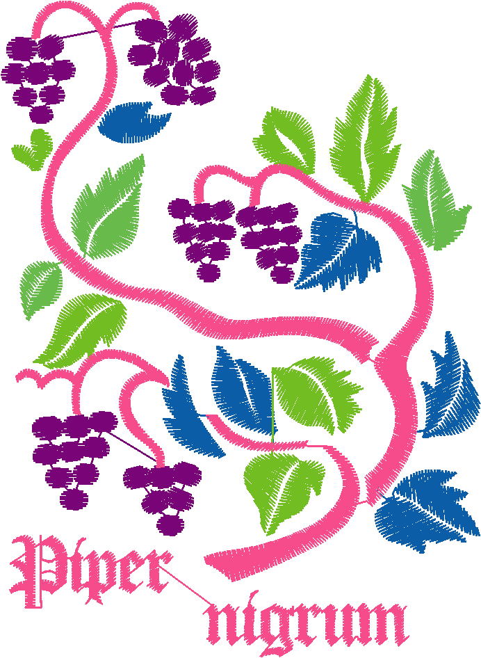 Des50 19