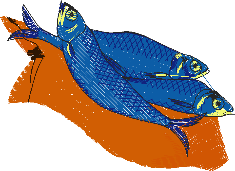 Des50 23
