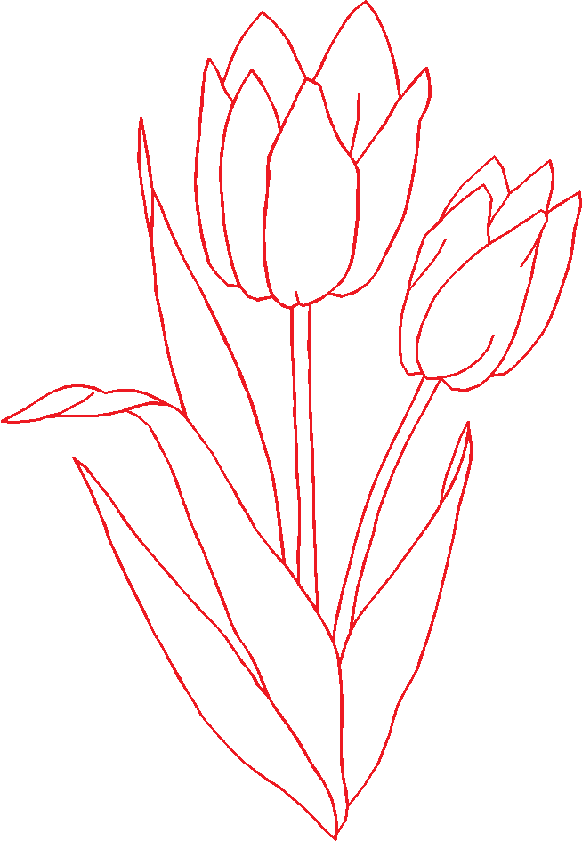 N°08
