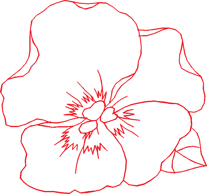N°17