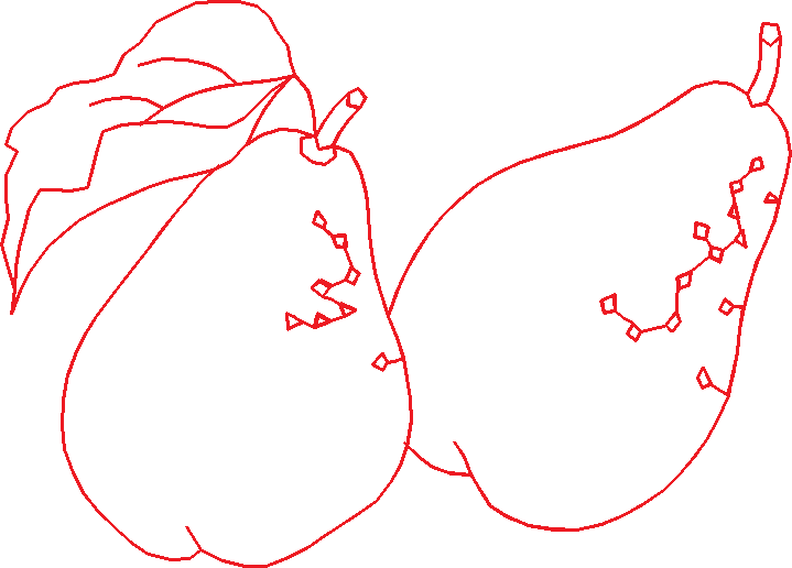 N°25