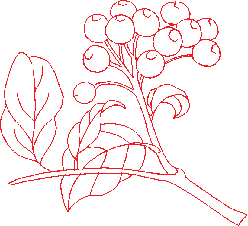 N°39