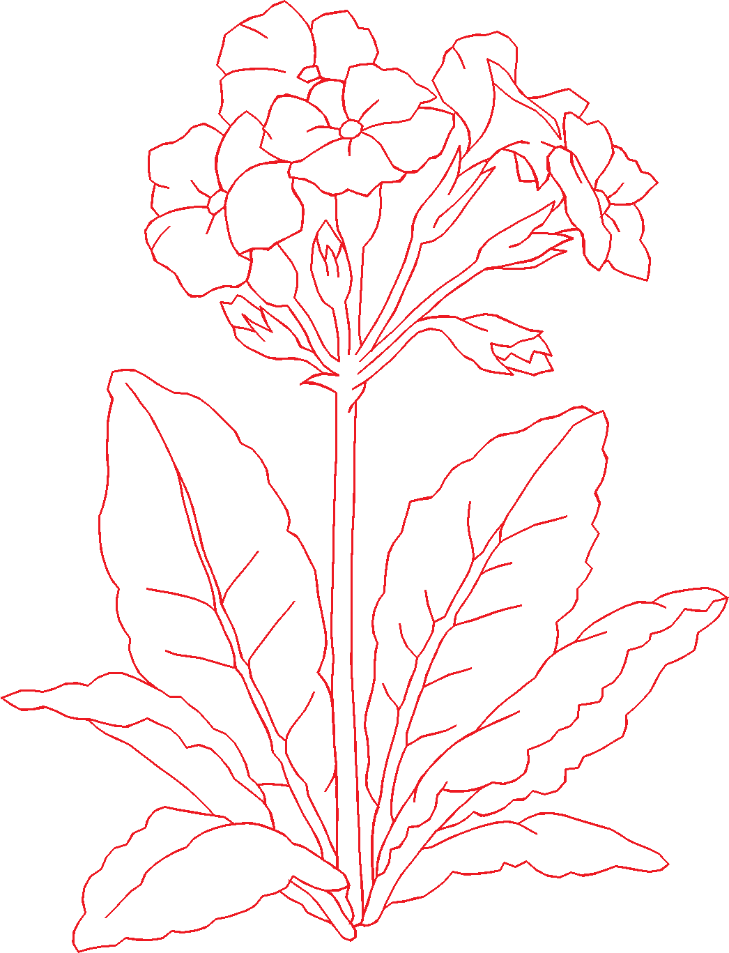 N°78