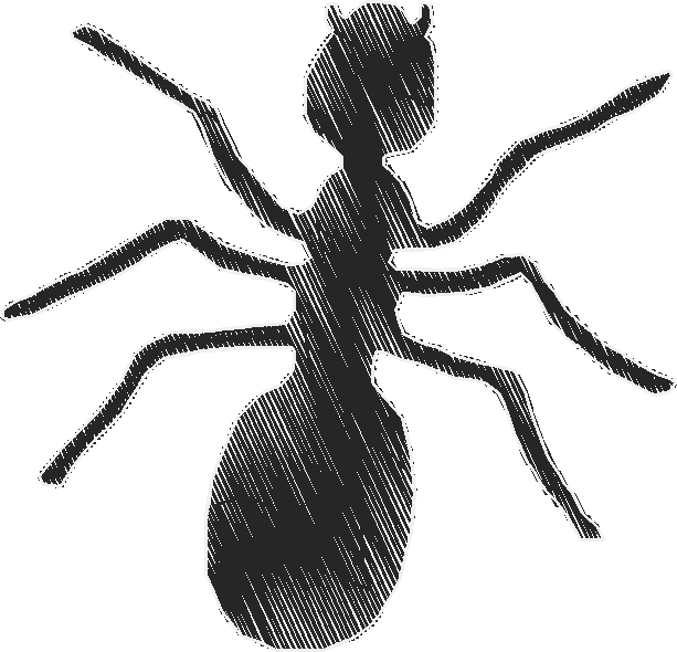 Bugs 10  (1)