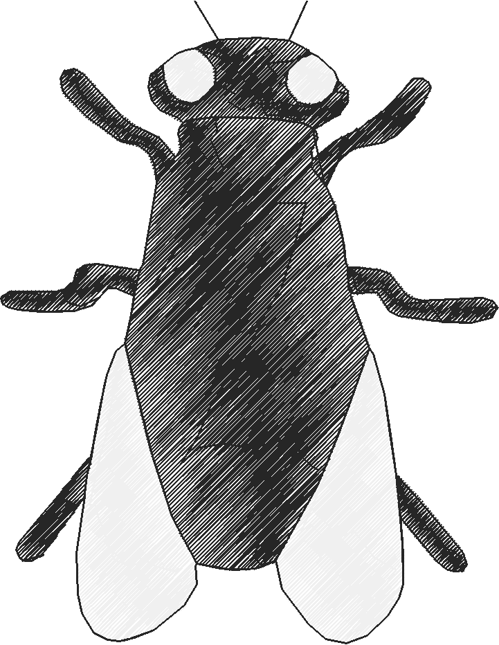 Bugs 10  (10)