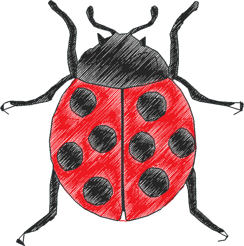 Bugs 10  (12)