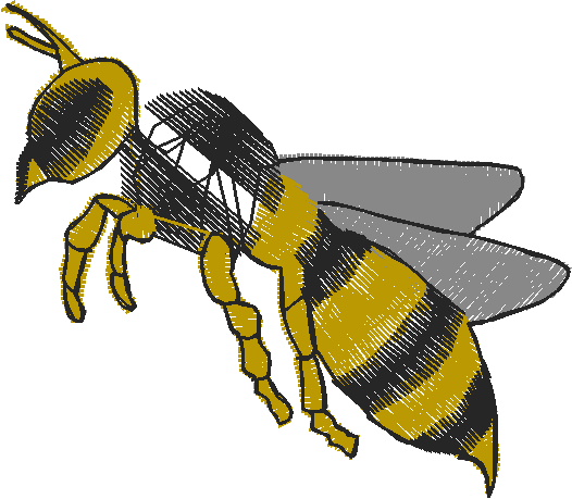 Bugs 12  (17)