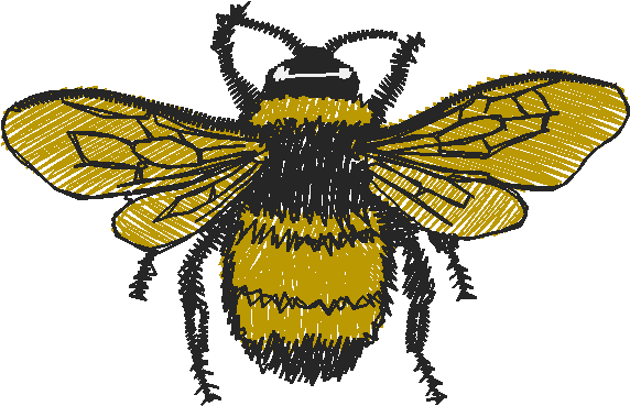 Bugs 12  (18)