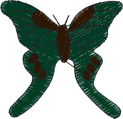 Bugs 8  (14)