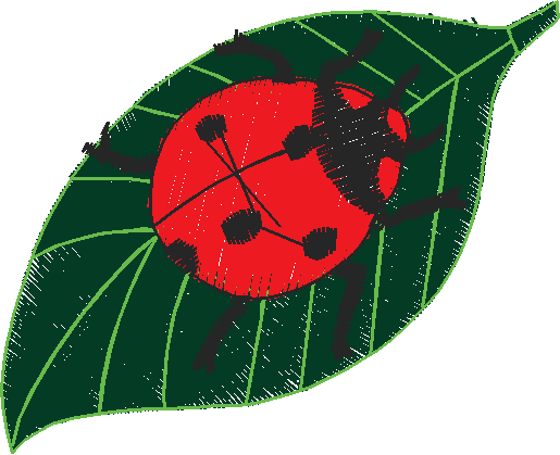 Bugs 8  (9)