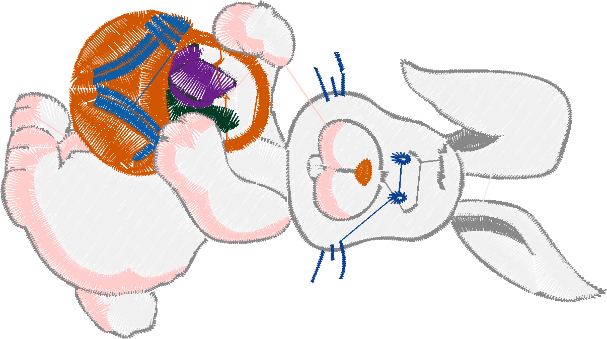 Bunnies 3  (10)
