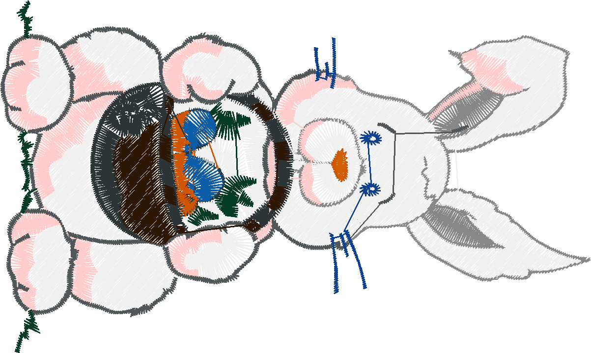 Bunnies 3  (7)