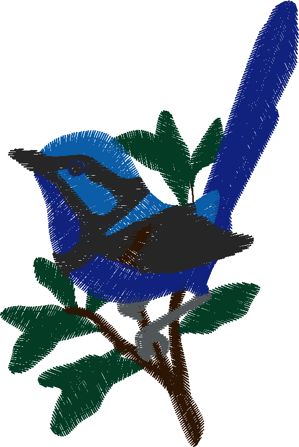 Bush Beauties 1  (20)