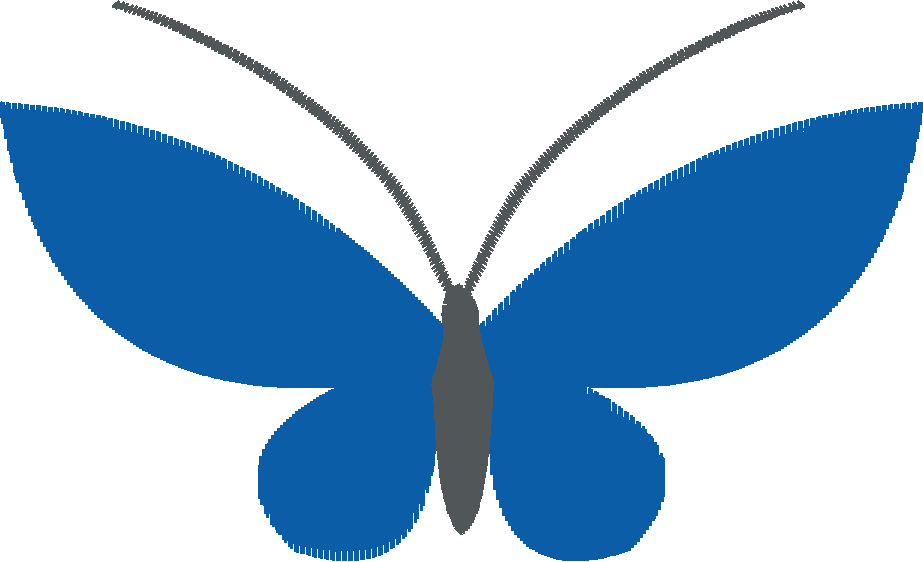 Butterflies   Borderless 1  (8)