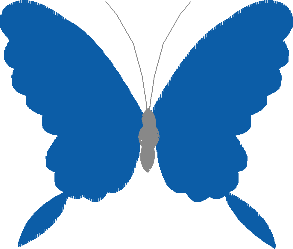 Butterflies   Borderless 1  (9)