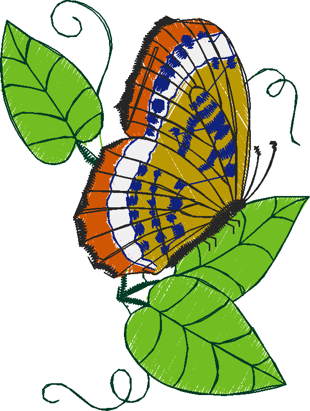 Butterflies 1  (19)
