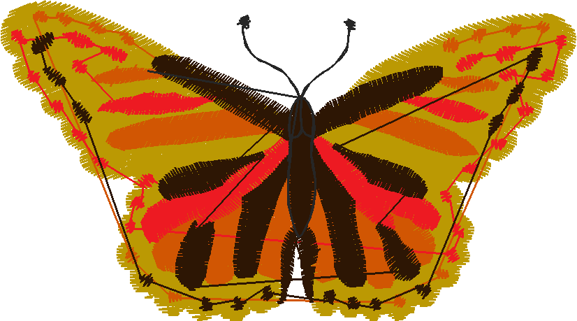 Butterflies 1  (4)
