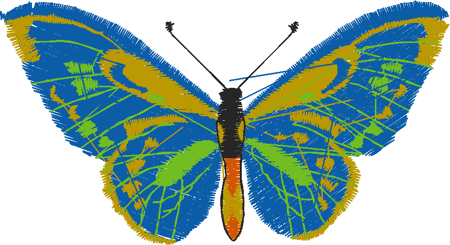 Butterflies 1  (7)