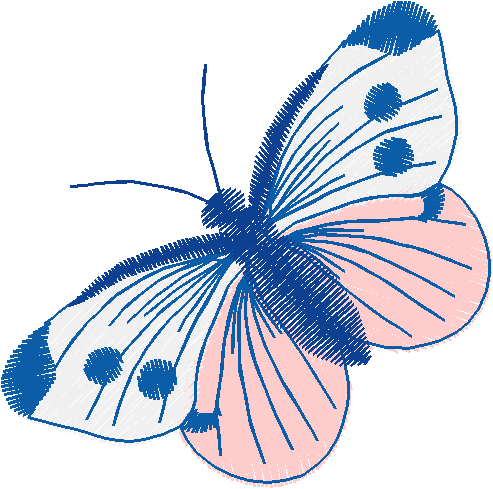 Butterflies 10  (2)