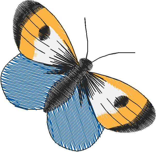 Butterflies 10  (5)